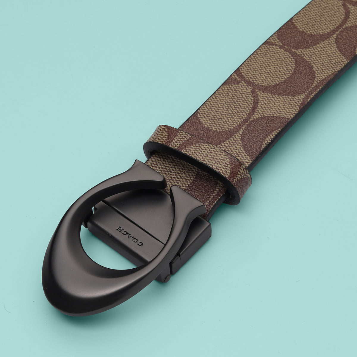Sandstone Signature  Belt
